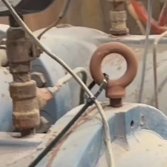 Detected anomaly detail from the walkdown